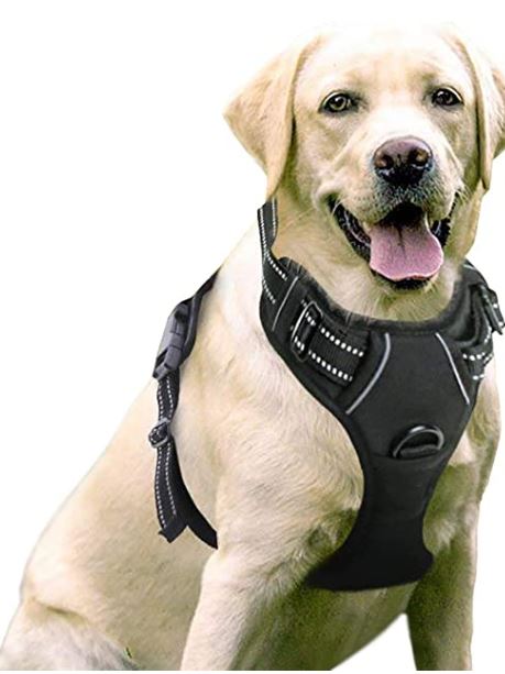 front pull dog harness 