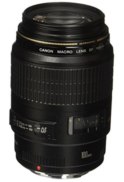 canon 100mm 2.8macro lens
