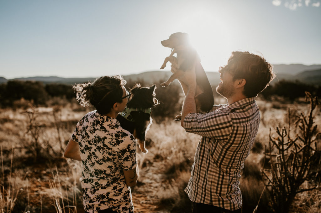 tips for bringing your dog to your photo shoot 