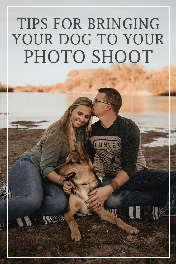 tips for bringing your dog to your photo shoot